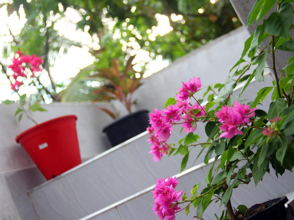 Moon Glow Guest Mirissa Ngoại thất bức ảnh